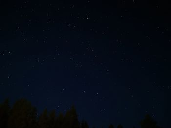 Low angle view of trees against star field at night