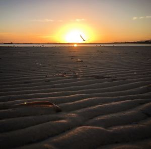 Scenic view of sea during sunset