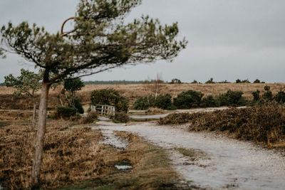 Bridge over pond along a track