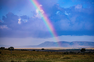 rainbow
