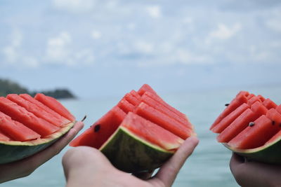 Close-up of hand holding fruits