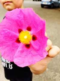 Close-up of hand holding pink flower