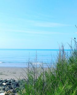 Scenic view of sea against clear blue sky