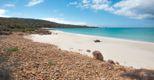 Scenic view of beach against sky