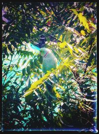 Bird perching on a tree