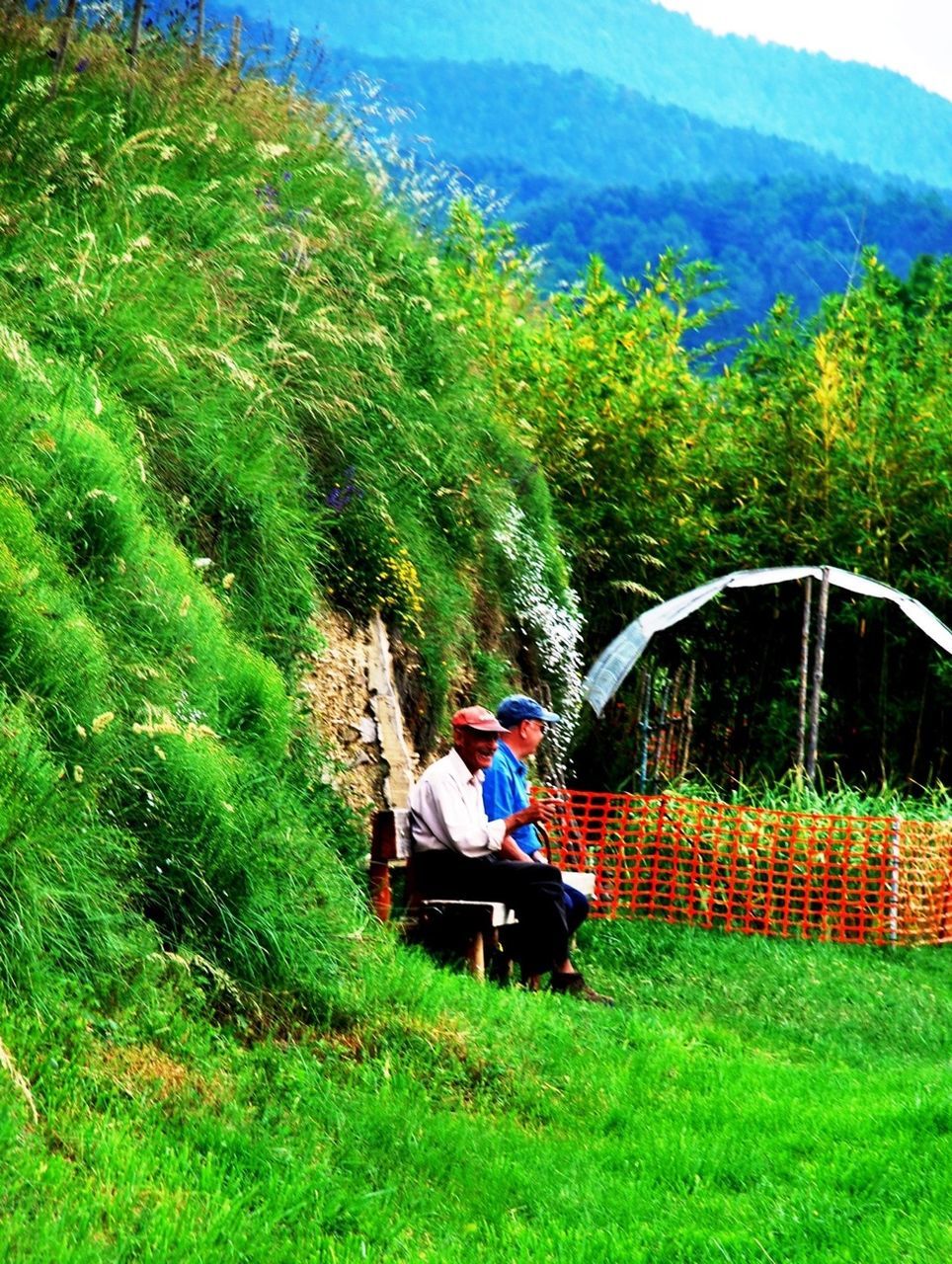 leisure activity, lifestyles, mountain, green color, men, grass, tree, sitting, person, landscape, nature, rear view, tranquil scene, relaxation, beauty in nature, tranquility, full length