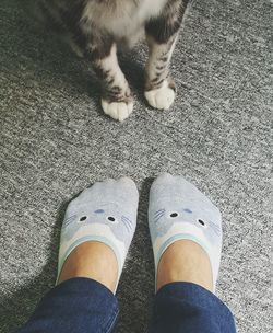 Low section of person standing on floor