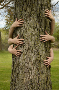 Close-up of hands holding tree trunk in forest