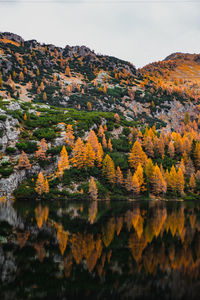 Trees reflection on a lake against sky during autumn