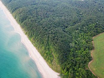 High angle view of sea shore