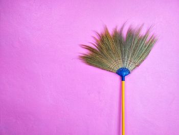 Close-up of pink umbrella against purple wall