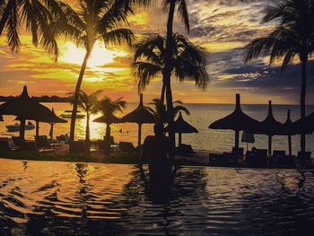 Silhouette of palm trees on beach