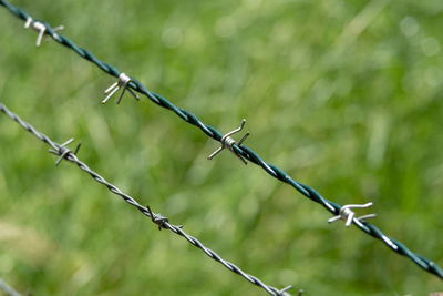 Close-up of barbed wire 