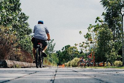 Rear view of man riding bicycle on road