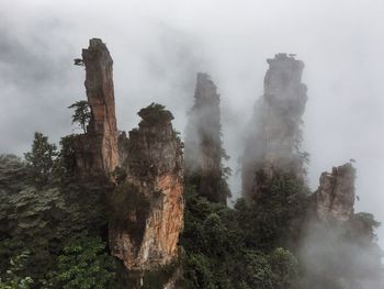 Pillars of rock cliff valleys in forest