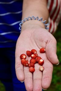 Close-up of hand holding strawberry