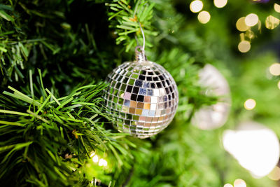 Close-up of christmas decoration hanging on tree