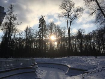 Snow covered trees against sky