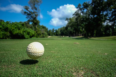 Close-up of ball on golf course