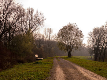 Empty bench on road amidst trees against sky