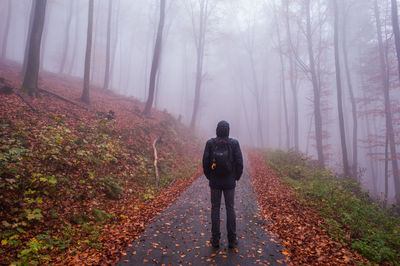 Rear view of woman walking in forest