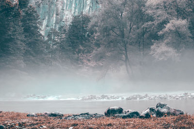 Scenic view of waterfall