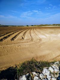 Scenic view of field against blue sky