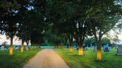 Road amidst trees against sky