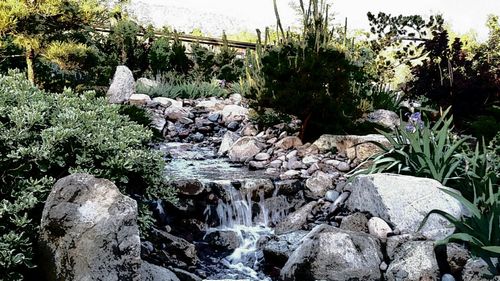 Stream flowing through rocks