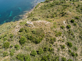 High angle view of lizard on beach