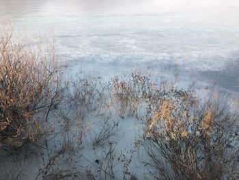 High angle view of frozen lake during winter