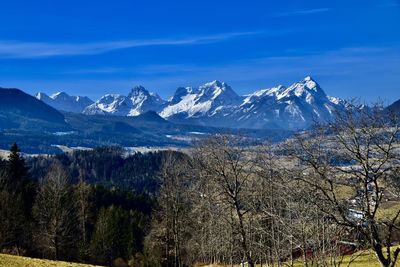 Scenic view of snowcapped trees and snowcaped mountains against blue sky