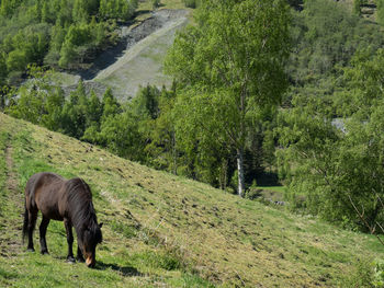 Flam in norway