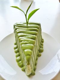 Close-up of green tea pastry in plate