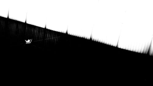 Close-up of bird flying against clear sky