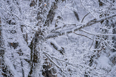 Full frame shot of snow covered field