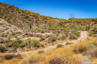 Scenic view of landscape against clear sky