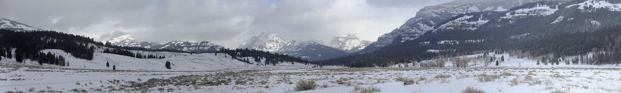 Mt norris shrouded in winter clouds, lamar valley ynp. 