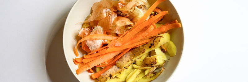 High angle view of food in bowl against white background