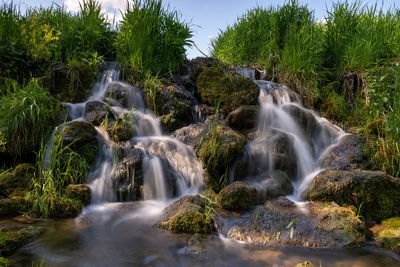 Scenic view of waterfall in forest