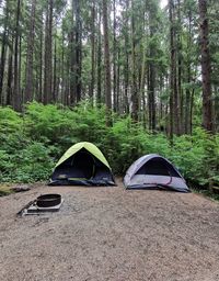 View of tent in forest