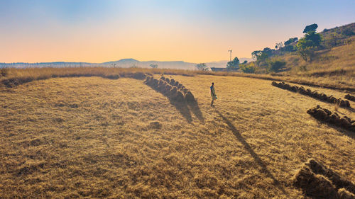 Scenic view of field against sky during sunset