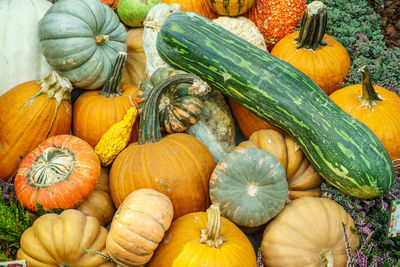 High angle view of pumpkins