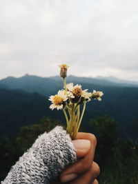 Midsection of person holding flowering plant against mountain