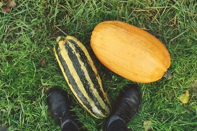 Low section of person standing on grassy field