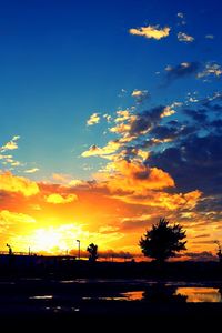 Silhouette trees against sky during sunset