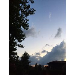 Low angle view of trees against sky