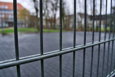 Close-up of railing against trees