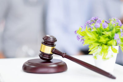 Close-up of gavel and potted plant on table