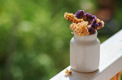 Close-up of white rose on table